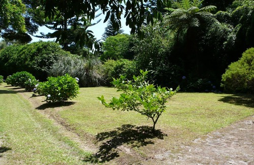 Povoacao Cabaña | Cascade House - Azores - São Miguel - Lagoa das Furnas