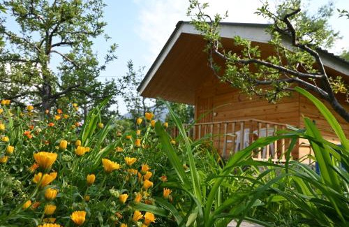 Manali Cama Y Desayuno | Cascade Mountain Retreat Manali