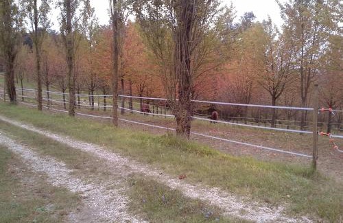 Castelnuovo don Bosco Casa | Cascina Barosca