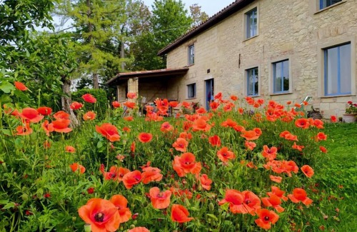 Grazzano Badoglio Casa | Casa de vacaciones Cascina ConVista en Grazzano Badoglio - 5 personas, 2 dormitorios