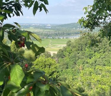 Gabiano Cama Y Desayuno | Cascina Il Dovese