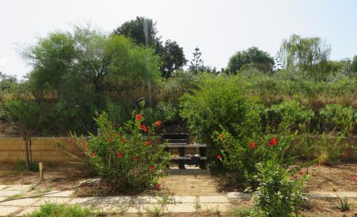 Porto Palo Casa | Case Barrera