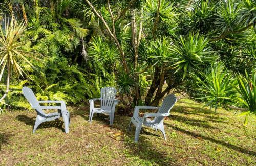 Sainte-Rose Villa | Case Creole dans Jardin Tropical