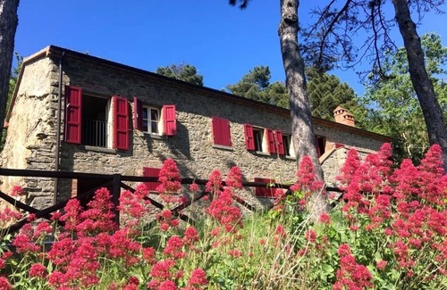 Cortona Casa | Caso Ginezzo: La Granja y La casa de campo. Cortona
