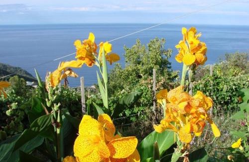 Bonassola Casa | Case vacanza Reggimonti Cinque Terre