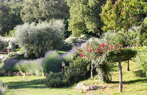 Umbertide Villa | Casella- bajo el sol toscano