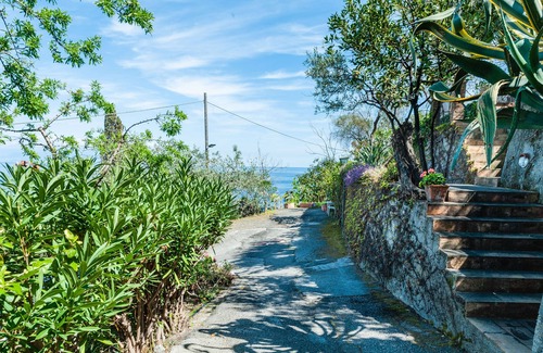 Spisone Apartamento | Casetta Amelia Apts by Wonderful Italy