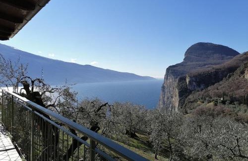 Arias Casa | Casetta delle olive