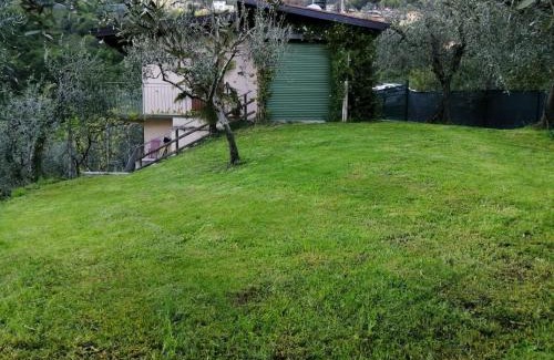 Arias Casa | Casetta delle olive