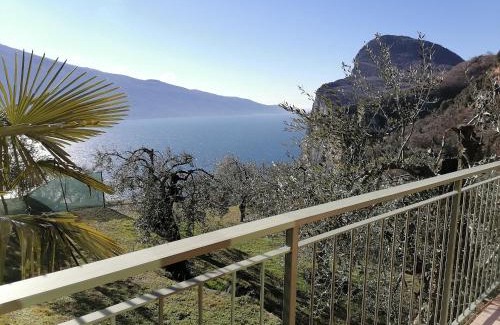 Arias Casa | Casetta delle olive