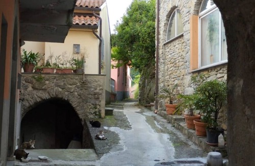 Masero Casa | Casetta Immersa nel Verde Della Lunigiana, Un'oasi del Sole e del Relax