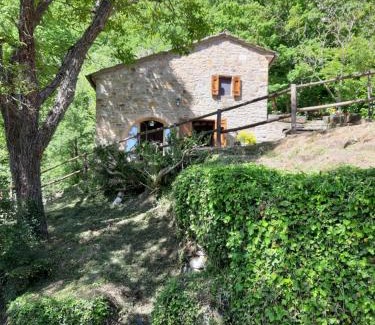 Cortona Casa | Casetta nel bosco - L'Antico Metato
