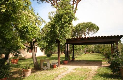 Castagneto Carducci Casa | Casetta sulla Bolgherese immersa nel Verde