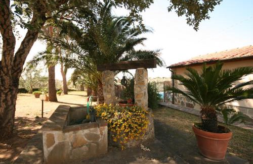 Castagneto Carducci Casa | Casetta sulla Bolgherese immersa nel Verde