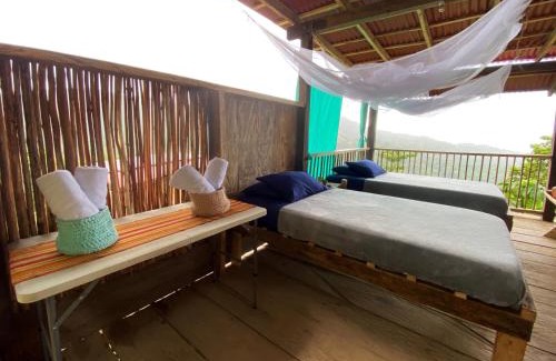 Palomino Cabina | Casinha da Floresta