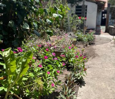 Tutoia Casa | Casinha da vovó