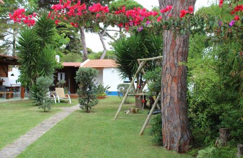 Banzao Casa | Casinha do pinhal