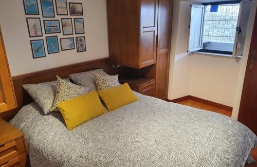 Gois Casa | Casinha dos Figueirais