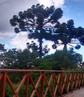 Recanto Araucaria Casa | casinha linda campos do jordão