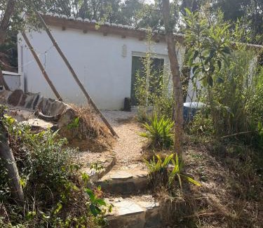 Azia Casa | Casinha Ninho da Mãe