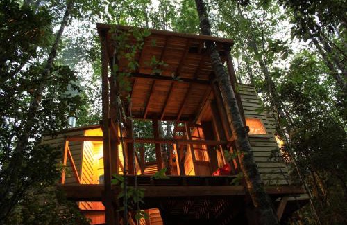 Futrono Casa | Casita Arbol