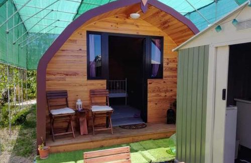 Arico Casa | Casita de Verde