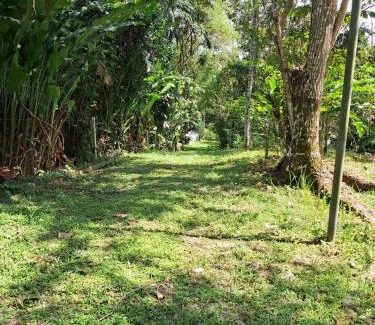 Almirante Casa | Casita Del CacaO