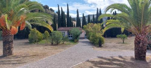 Olvera Casa | Casita Higo
