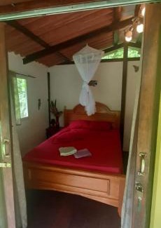 Eastern Panama Cabina | Casita Rio Indio