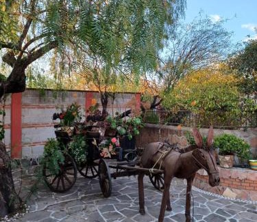 Tequisquiapan Cama Y Desayuno | CASONA DOS VIDAS