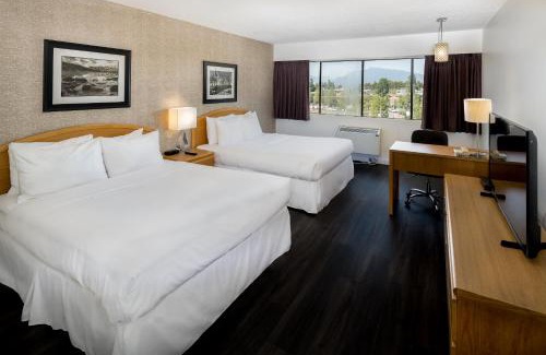 Renfrew-Collingwood Hotel | Cassandra Hotel