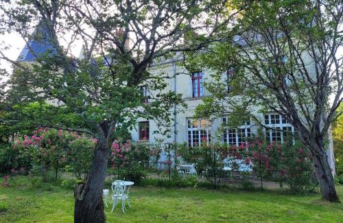 Langeais Cama Y Desayuno | Castel Saint Laurent