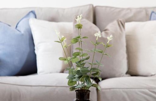Lewes Casa | Castle Bank Terrace By The Butler Collection