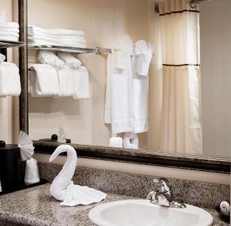 Anaheim Resort Hotel | Castle Inn and Suites Anaheim