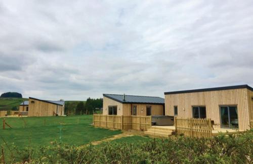 Llanddewi Ystradenny Complejo | Castle Pren Lodges