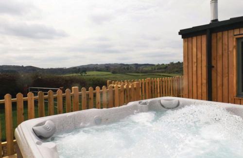 Llanddewi Ystradenny Complejo | Castle Pren Lodges