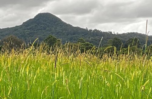Mullumbimby Apartamento | Casual comfort in Byron Shire