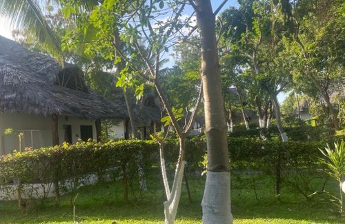 Malindi Apartamento | Casuarina cott