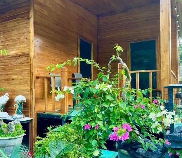 Cat Hai Cabina | Cat Ba Love House