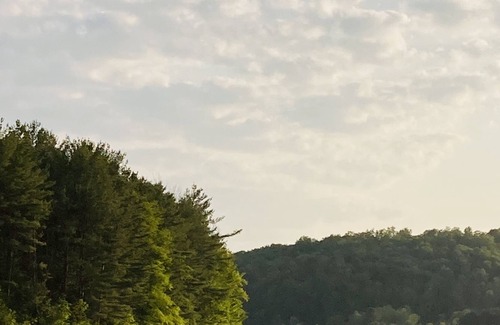 Sabinsville Cabina | Cathead Cabin—Cozy Cabin in the Woods of Tioga County, PA