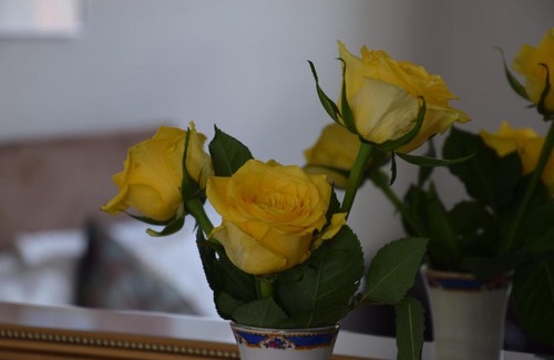 Salisbury Cama Y Desayuno | Cathedral View B & B