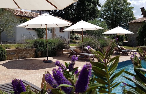 Scansano Villa | Campo Finca en Maremma Podere San Régulo