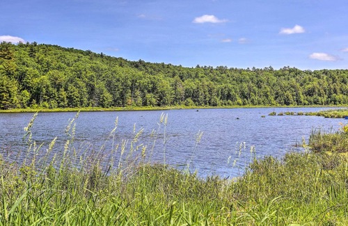 Narrowsburg Cabina | Catskills Sanctuary w/ Lake Access + Hot Tub