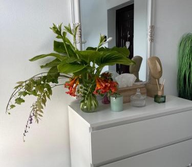 Tirgu Neamt Apartamento | Cazare apartamente LAVI-TOUR Tg Neamț