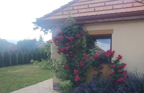 Miercurea-Ciuc Casa | Cazare rustică la curte