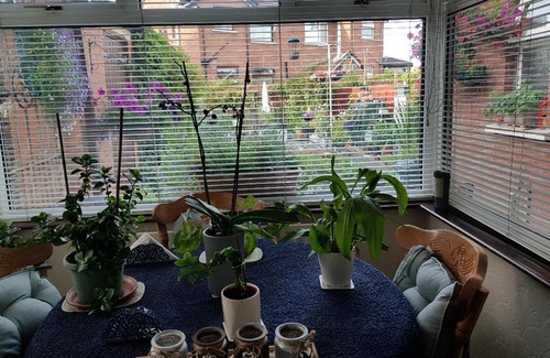 Belfast Casa | CEAD MILE FAILTE WEST BELFAST