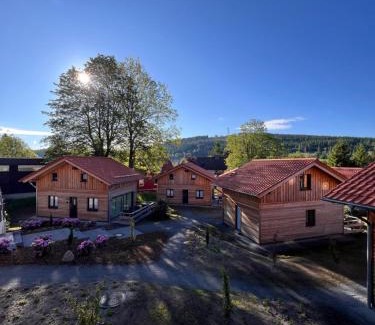 Hahnenklee Casa | Cecilienpark Oberharz