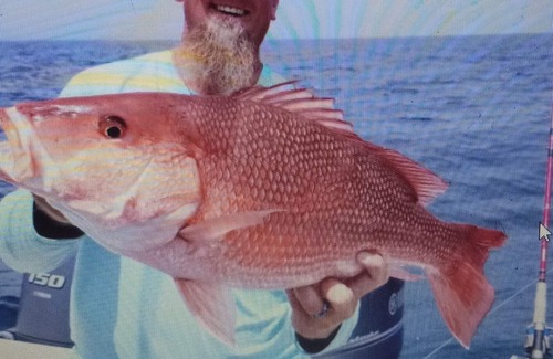 Cedar Key Casa | Cedar Key Fishing, Wildlife , BEACHES, PET FRIENDLY