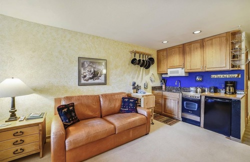 Frisco Condominio | Cedar Lodge 309 Studio Bedroom Condo by RedAwning