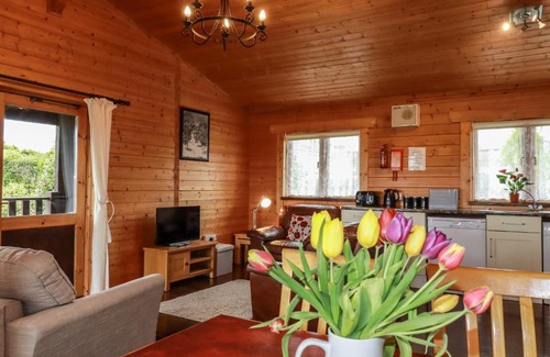 Bodmin Casa | Cedar Lodge
